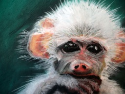 Baby baboon, 2008.  Pastels on paper