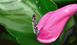  Orchid, 2013.  Digital. 10